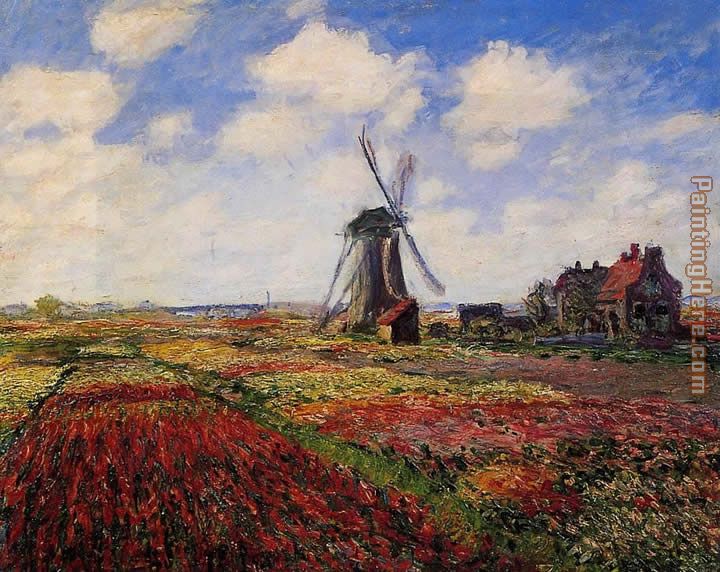 Claude Monet Field of Tulips in Holland